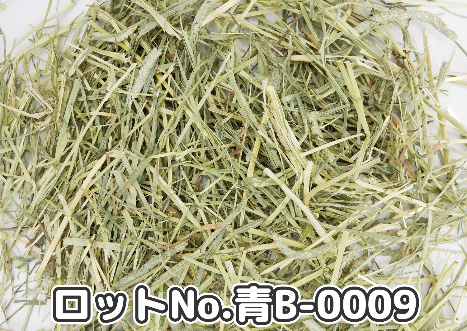厳選スーパープレミアムチモシー1番刈り ミディアムプレス ワシントン州【青B】ロットNo.青B-0009の牧草状態