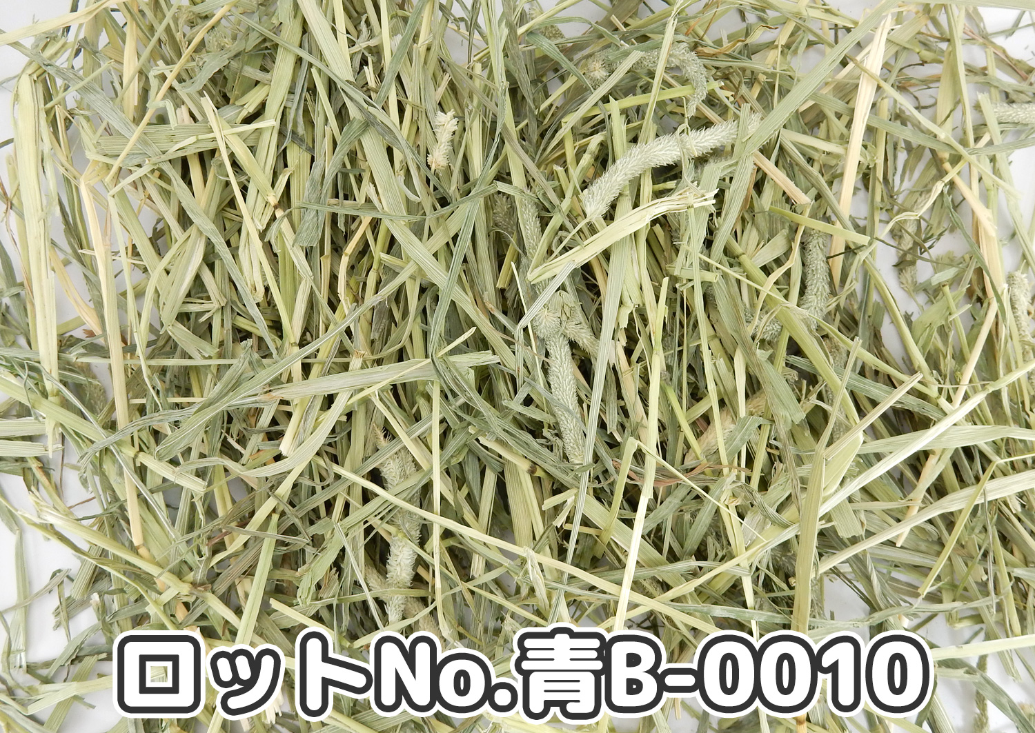 厳選スーパープレミアムチモシー1番刈り ミディアムプレス ワシントン州【青B】ロットNo.青B-0010の牧草状態