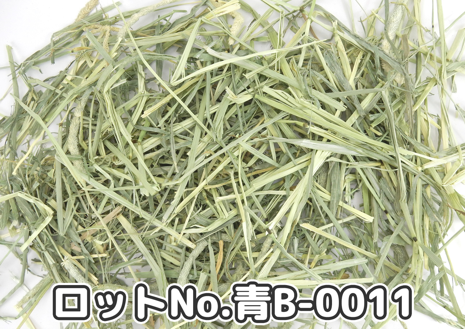 厳選スーパープレミアムチモシー1番刈り ミディアムプレス ワシントン州【青B】ロットNo.青B-0011の牧草状態