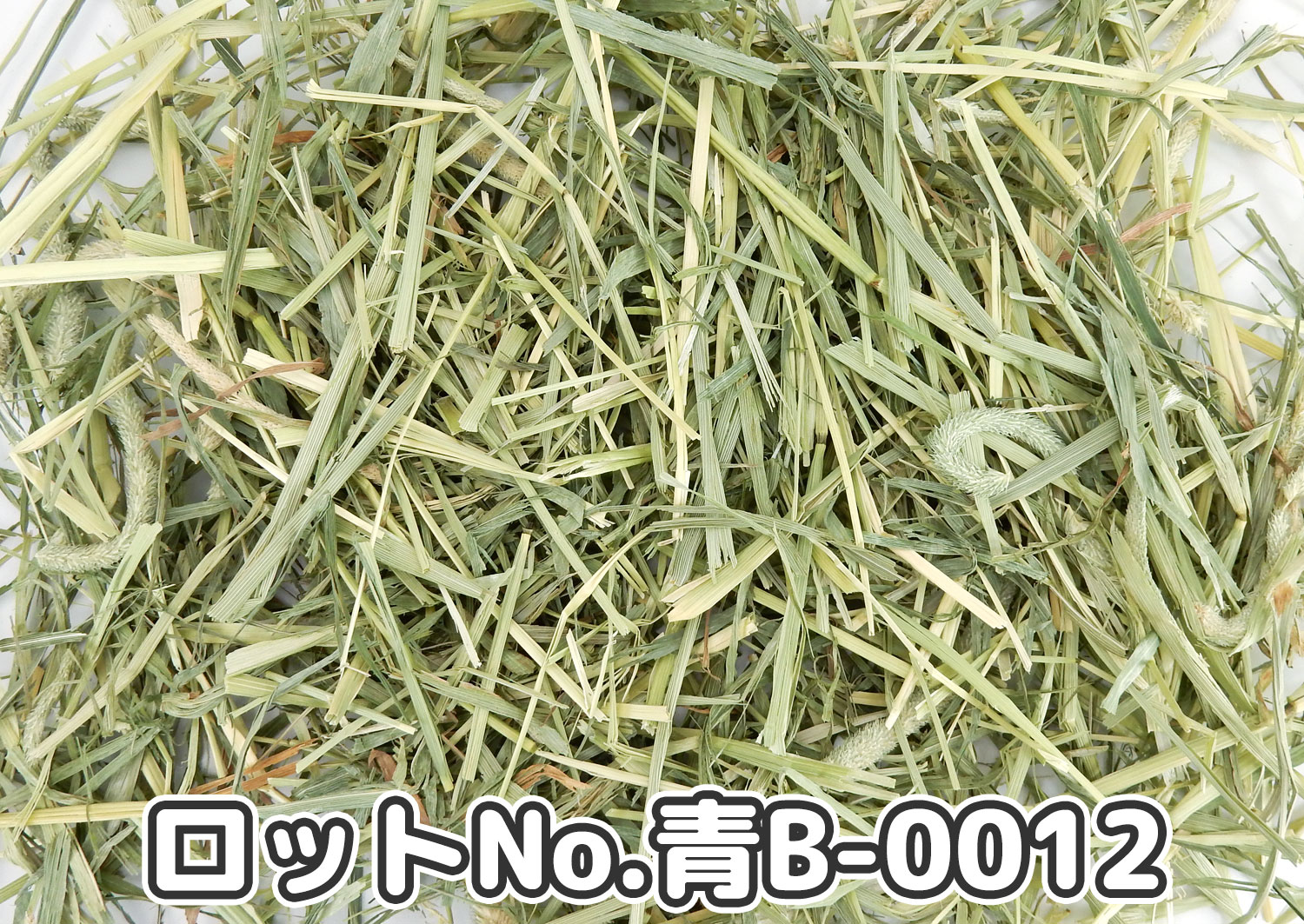 厳選スーパープレミアムチモシー1番刈り ミディアムプレス ワシントン州【青B】ロットNo.青B-0012の牧草状態