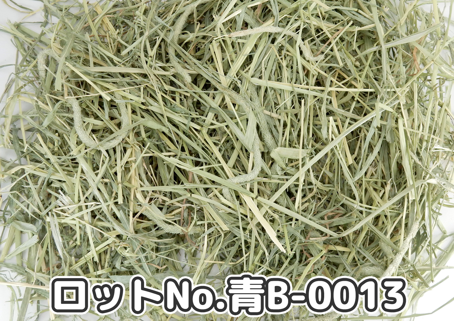 厳選スーパープレミアムチモシー1番刈り ミディアムプレス ワシントン州【青B】ロットNo.青B-0013の牧草状態