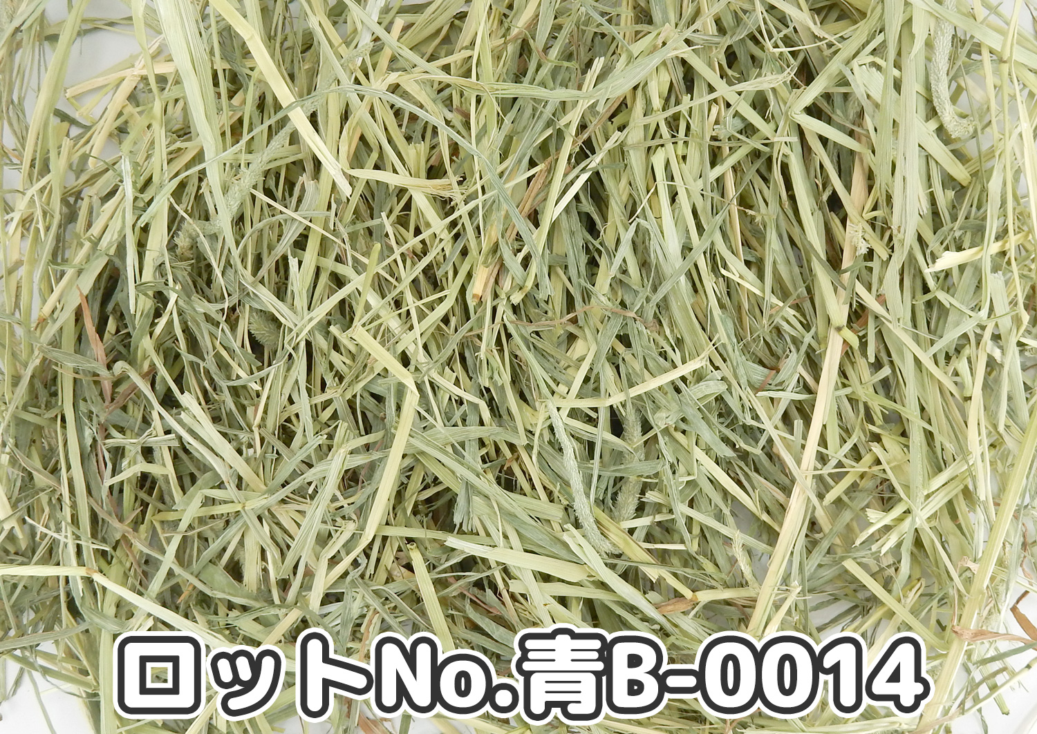 厳選スーパープレミアムチモシー1番刈り ミディアムプレス ワシントン州【青B】ロットNo.青B-0014の牧草状態