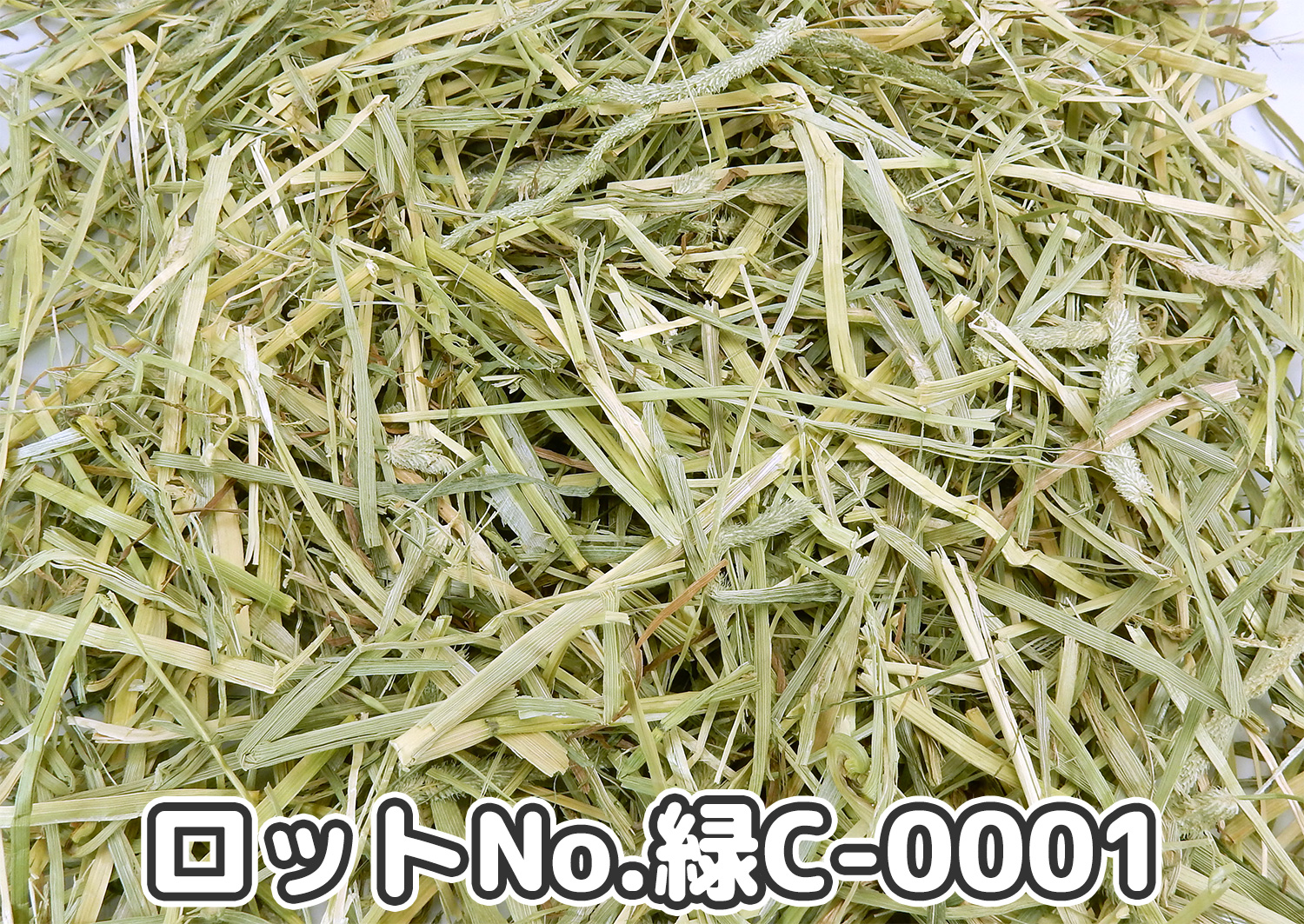 USプレミアムチモシー1番刈りダブルプレス ワシントン州【緑C】ロットNo.緑C-0001の牧草状態