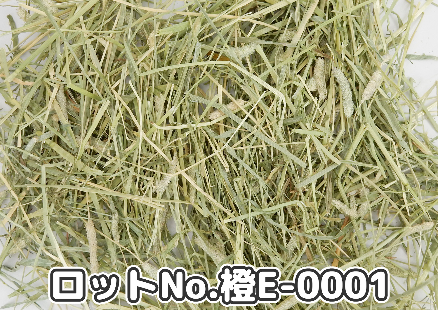 CAプレミアムチモシー1番刈り ダブルプレス カナダ産【橙E】ロットNo.橙E-0001の牧草状態