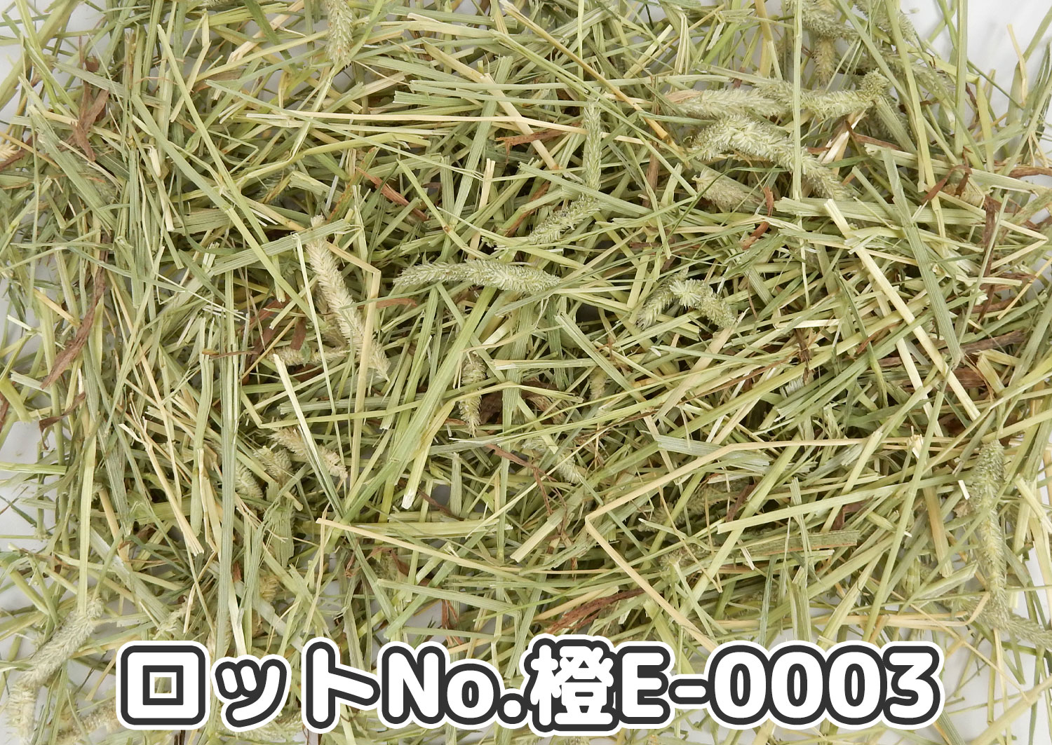 CAプレミアムチモシー1番刈り ダブルプレス カナダ産【橙E】ロットNo.橙E-0003の牧草状態