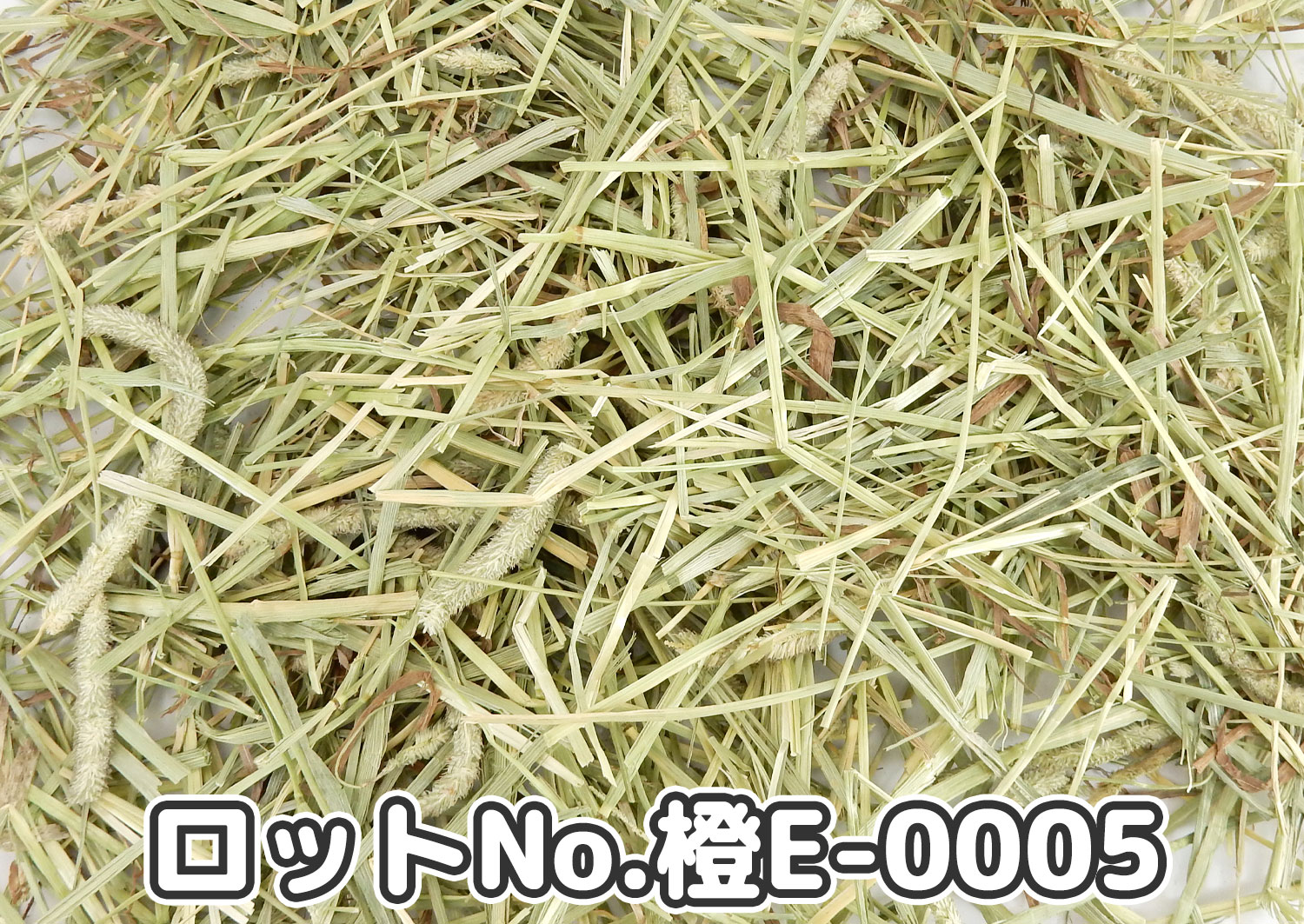 CAプレミアムチモシー1番刈り ダブルプレス カナダ産【橙E】ロットNo.橙E-0005の牧草状態