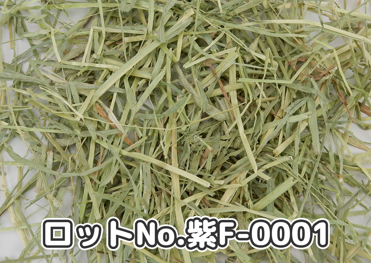 厳選スーパープレミアムチモシー1番刈り【紫F】ロットNo.紫F-0001の牧草状態