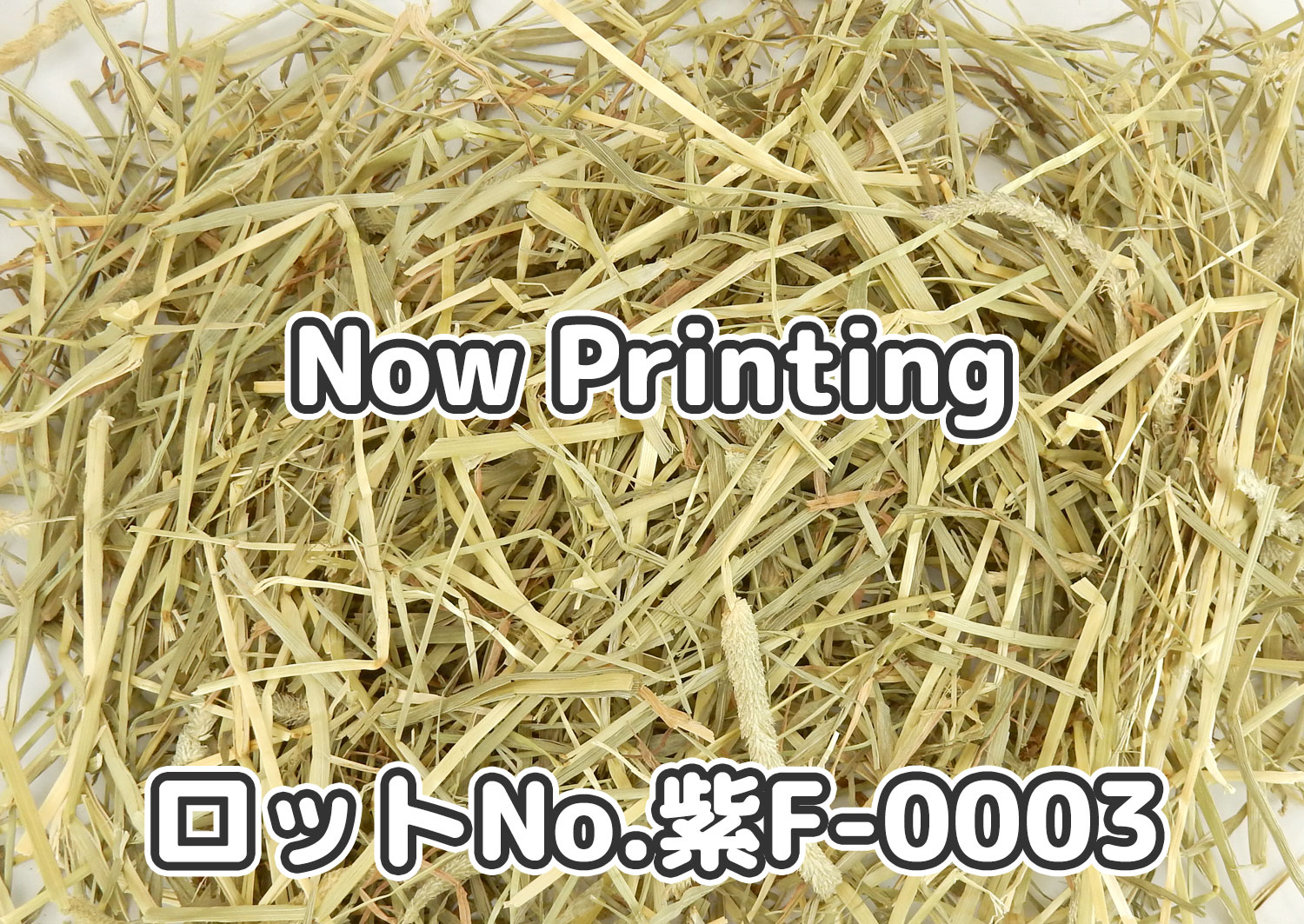 厳選スーパープレミアムチモシー1番刈り【紫F】ロットNo.紫F-0003の牧草状態