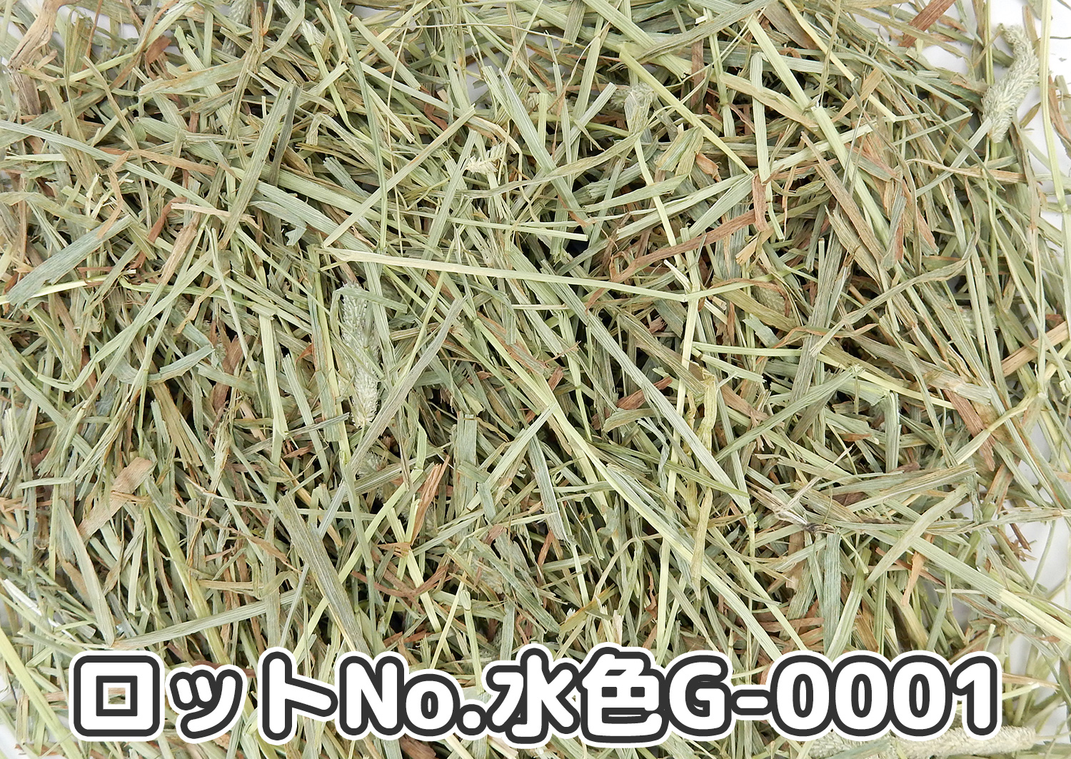 USプレミアムチモシー2番刈りダブルプレス ワシントン州【水色G】ロットNo.水色G-0001の牧草状態