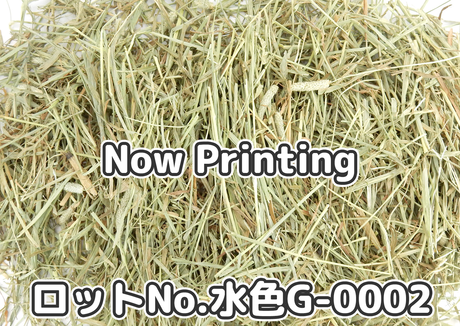 牧草の粉が少ない』 USプレミアムチモシー2番刈りダブルプレス