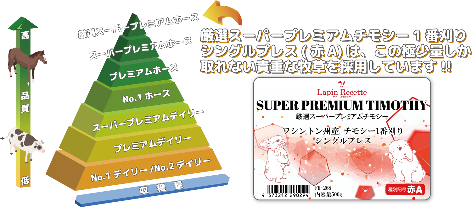 ラパン・ルセットゥのチモシー牧草のグレードは厳選したスーパープレミアムホースのグレードから更に厳選した牧草のみを使用しております