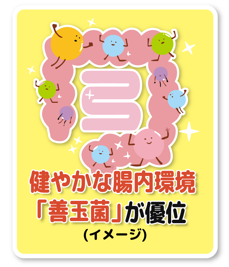 ウーリー_うさぎのやわらか乳酸菌_腸内環境の強い味方「乳酸菌」