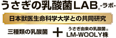 うさぎの乳酸菌LAB 日本獣医生命科学大学との共同研究