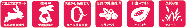 リニューアルしてさらにパワーアップした特徴の概要説明画像
