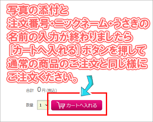 写真と添付