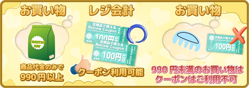 レビュークーポンは商品代金のみで税込990円からご利用可能です。