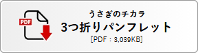 チカラのちからパンフレット