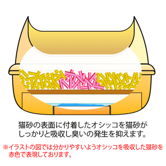 猫砂の表面に付着したオシッコを猫砂がしっかりと吸収し臭いの発生を抑えます