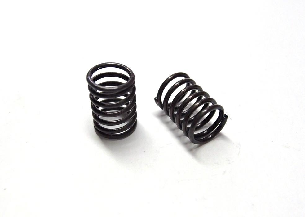 M-P43LSP　P43P2用レベライザースプリング 2本入の画像