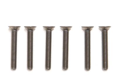 11806 Corally 6角チタニウムスクリュー M3x20皿の画像