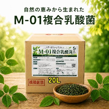M-01複合乳酸菌　20Lの画像