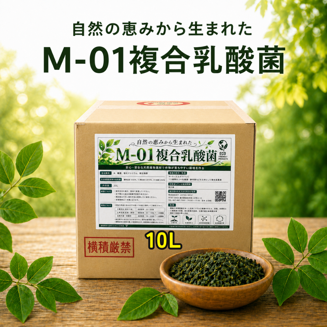 M-01複合乳酸菌　10Lの画像
