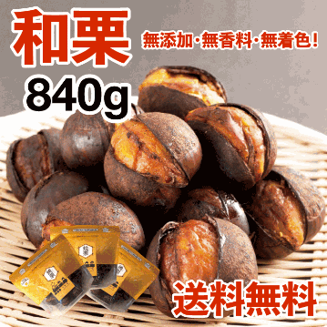 【和栗銀寄せ使用】焼いてお届けホクホク焼栗840g(280g×3袋) 1袋あたり14~18個入り※季節や大きさにより変動ありの画像