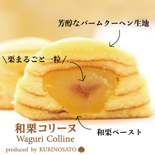 和栗コリーヌ[12個入り]の画像