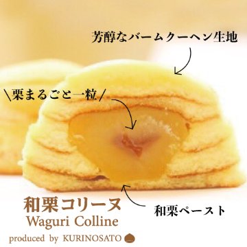 和栗コリーヌ[12個入り]の画像