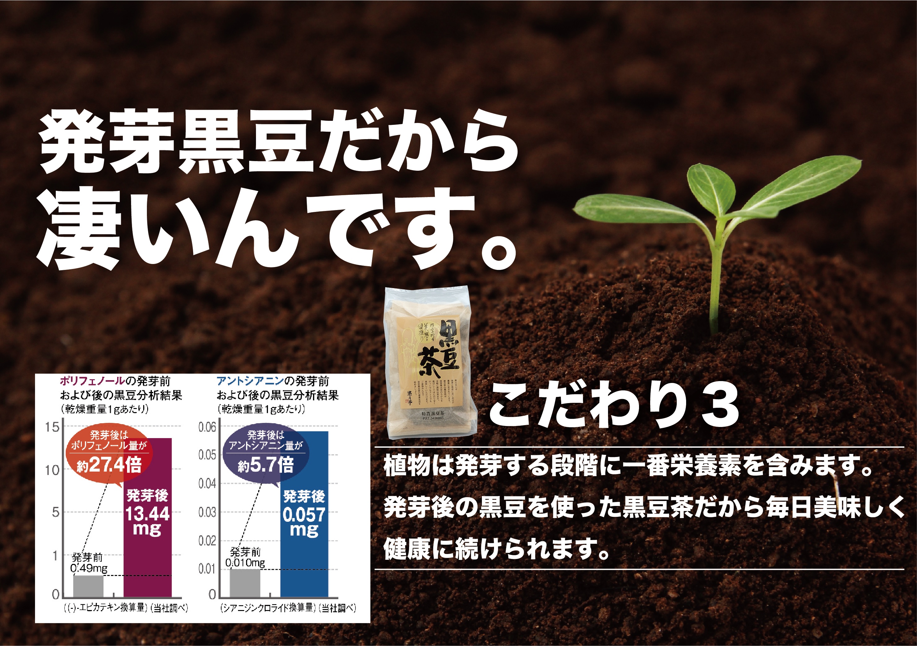 本場遊月亭の発芽黒豆茶100包入 （10包入×10袋入）正規品　の画像