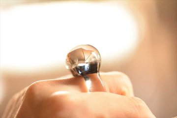 Ring 豆の画像