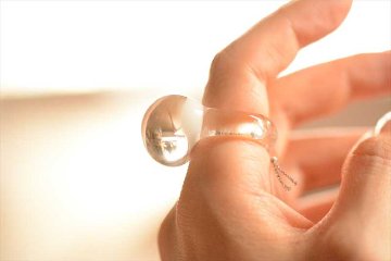 Ring 豆の画像