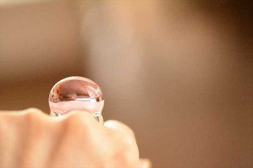 Ring 豆の画像