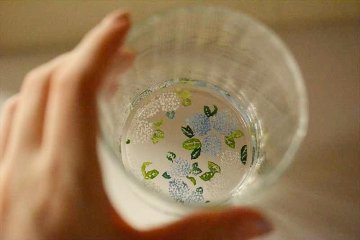 百花景蕎麦猪口グラスの画像