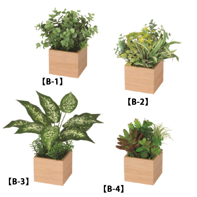 卓上グリーンポット　観葉植物　キューブタイプ（小・中・大）カラー2種の画像