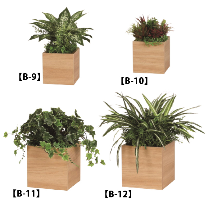 卓上グリーンポット　観葉植物　キューブタイプ（小・中・大）カラー2種画像