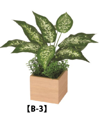 卓上グリーンポット　観葉植物　キューブタイプ（小・中・大）カラー2種画像