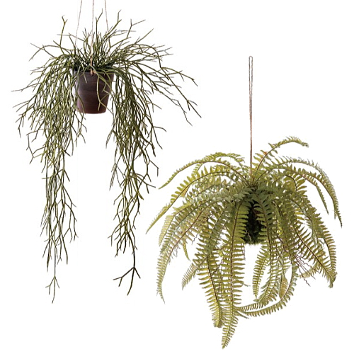 吊り下げグリーン　観葉植物　フェイクグリーン 人工植物（リプサリス・ファーン）麻紐付きの画像
