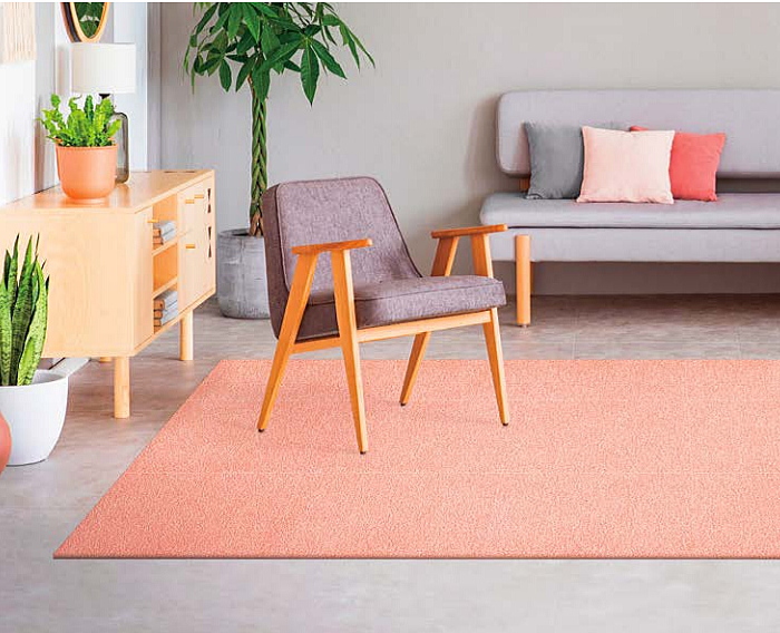 ユニットラグ（6枚）リクシル ユニットラグシリーズ　ソフティライン【消臭】SOFTY LINEの画像