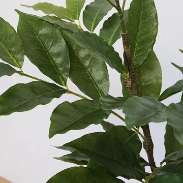 コーヒーの樹　観葉植物　フェイクグリーン 大型　H152cm 人工植物　カフェ の画像