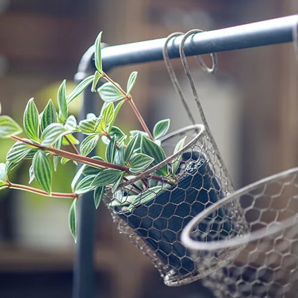 ガーデンポケット　アンティークアイアンワイヤー　フック付き（S/L） の画像