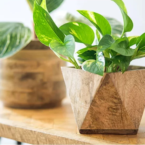 【N3】植木鉢カバー　ウッドポットカバー　（3号・４号・5号用）ポリゴン・パイル の画像