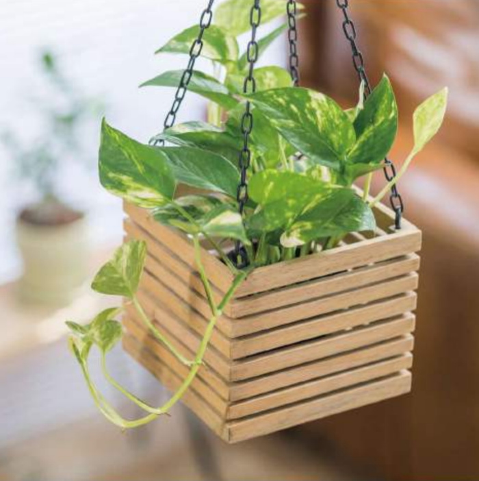  【N2】ハンギングボックス　３号鉢・４号鉢用（S/L)【マンゴーアイアン】 の画像