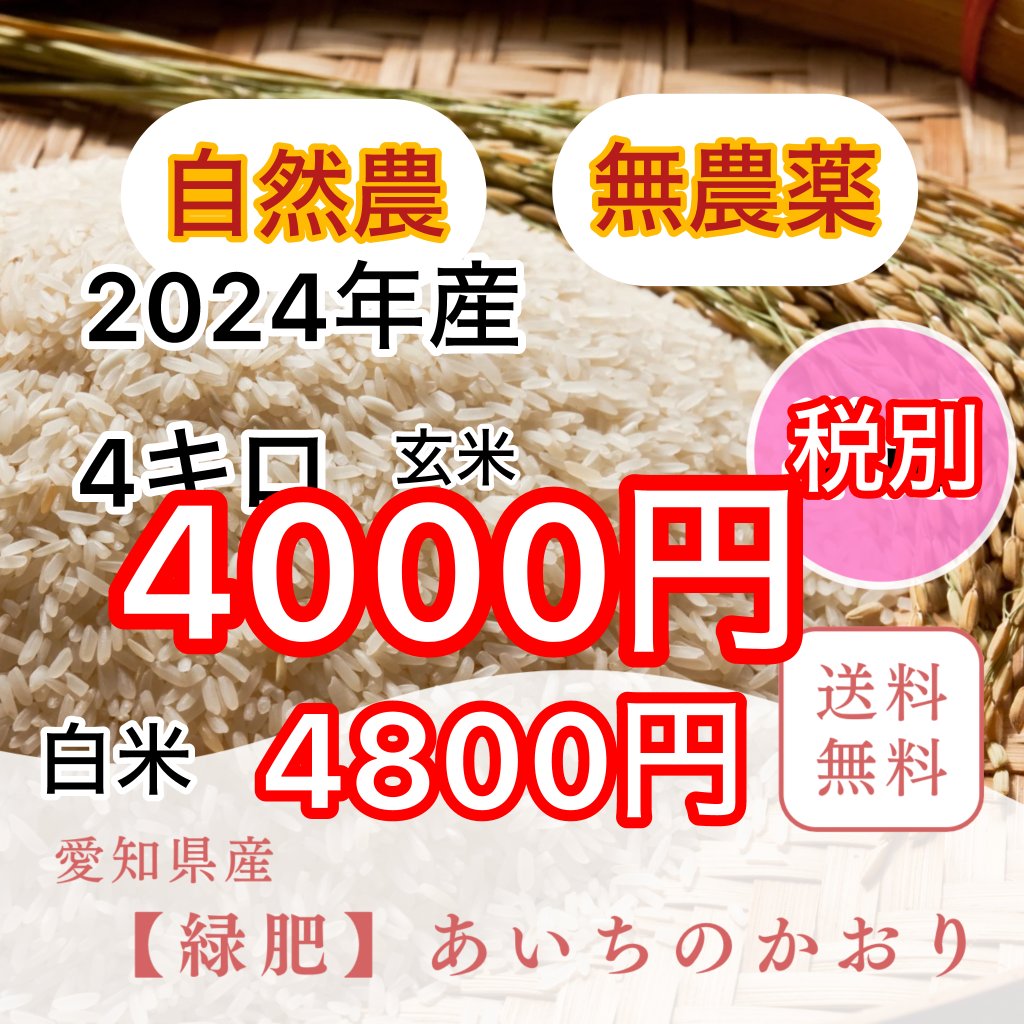 自然農　あいちのかおり　2024年　古米　4㎏【送料込み】の画像