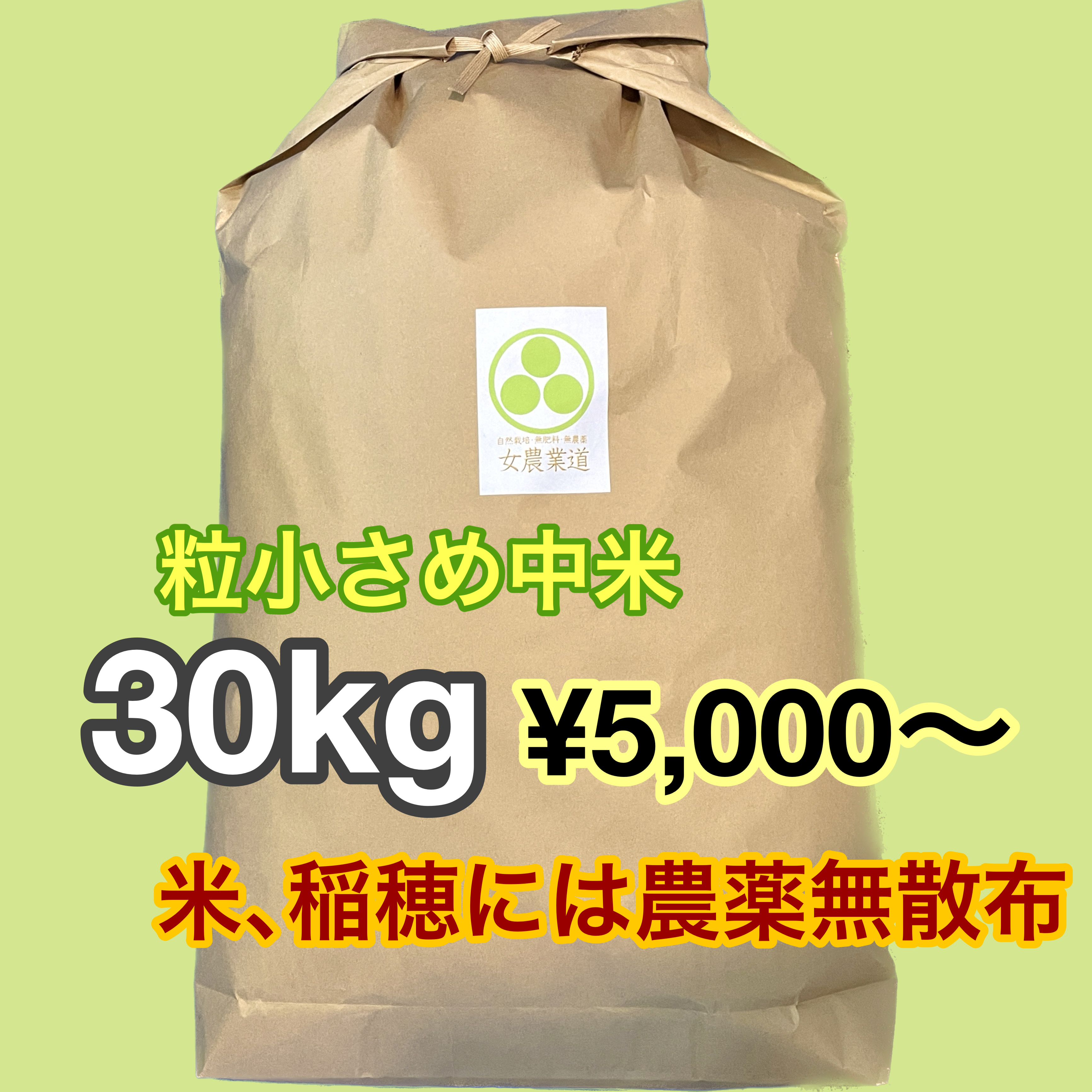 【粒小さめ新米】　紙袋/長期保存用パック　超人気画像
