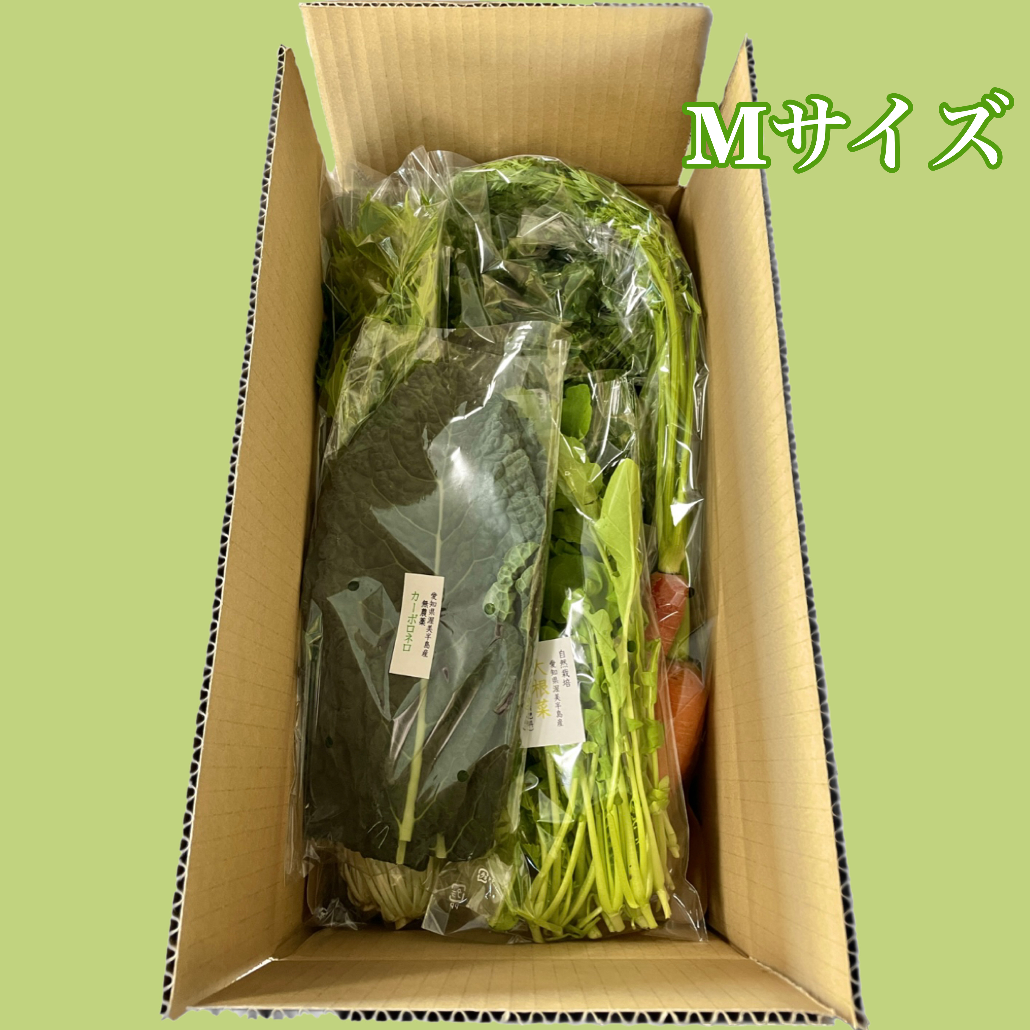 【送料込み】80㎝～100cm箱　野菜Mセット～６人用画像