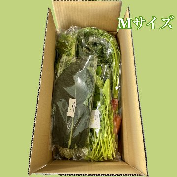【送料込み】80㎝～100cm箱　野菜Mセット～６人用画像