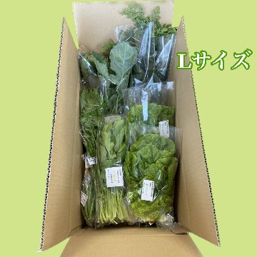 【送料込み】100㎝箱（または80㎝×２箱）　野菜Lセット～８人用画像