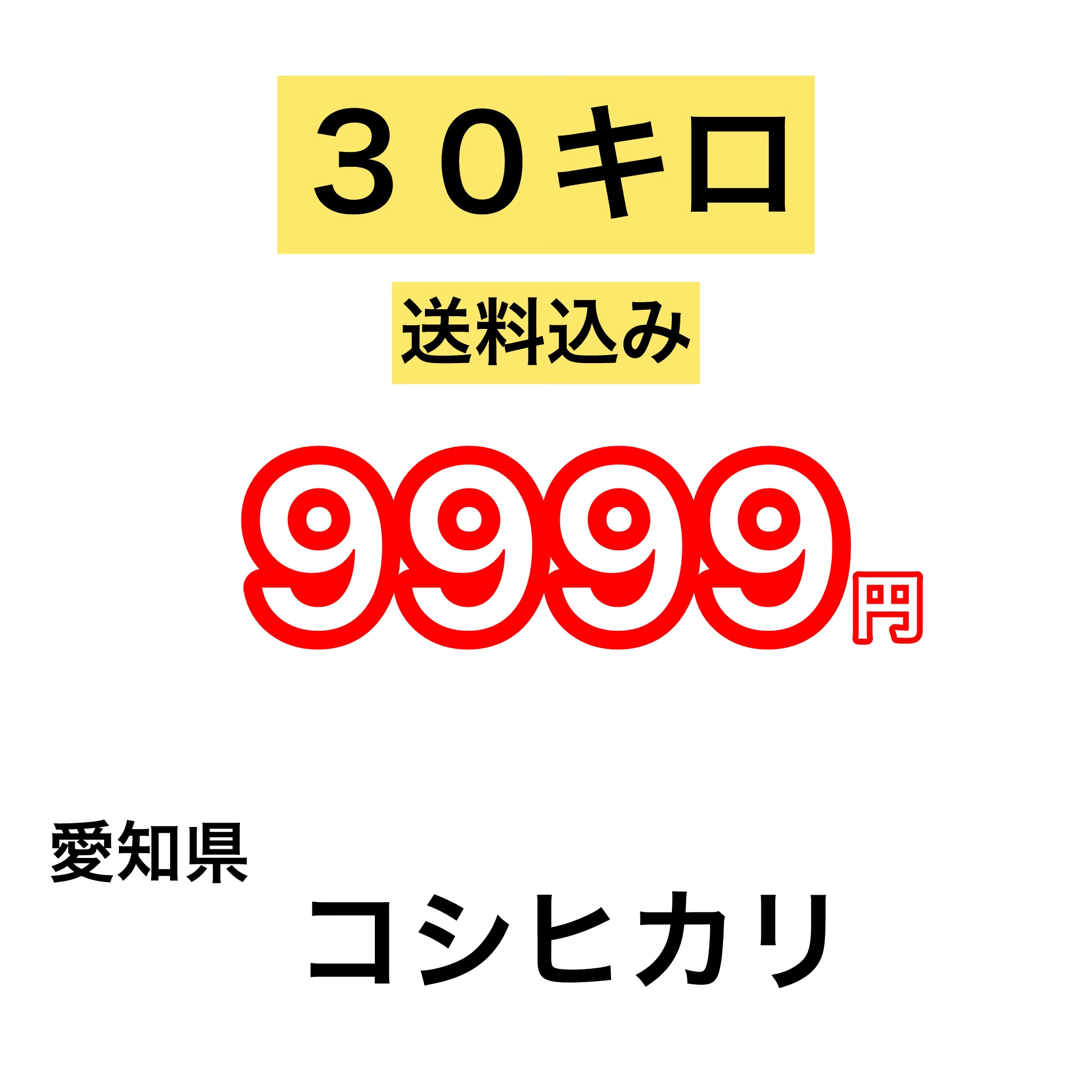 ４月のみのセール　愛知県コシヒカリ３０kg　（送料無料）画像