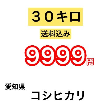 ４月のみのセール　愛知県コシヒカリ３０kg　（送料無料）画像